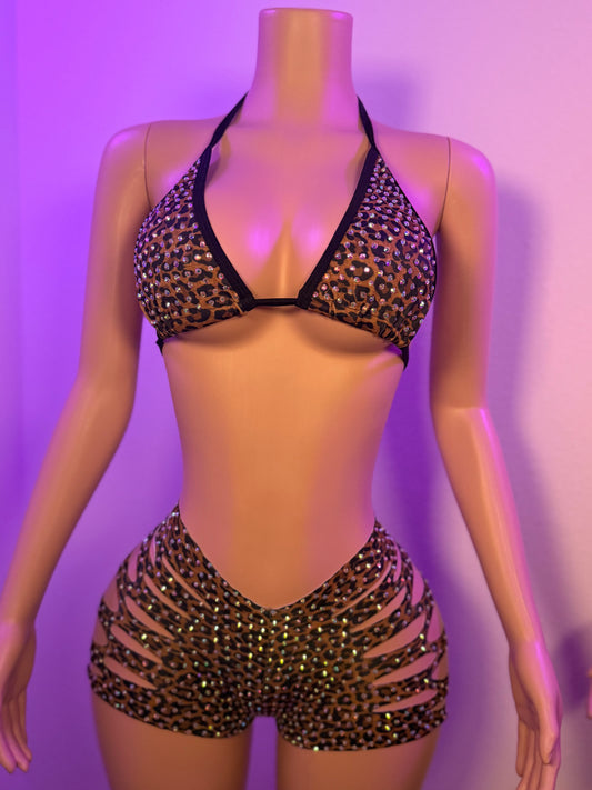 Wild Currency set