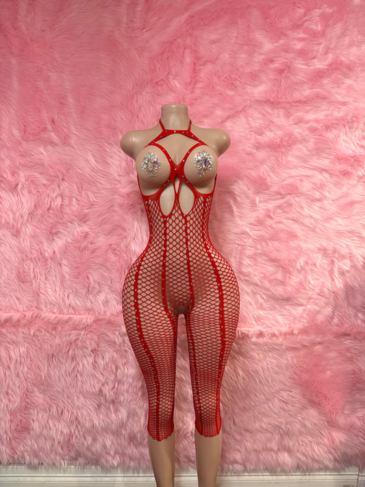 Sin City Fishnet 1-Piece